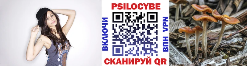 Галлюциногенные грибы Cubensis  наркошоп  Щучье 